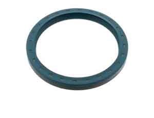 Sealing Ring-Drive Shaft Bearing